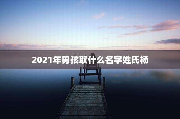 2021年男孩取什么名字姓氏杨