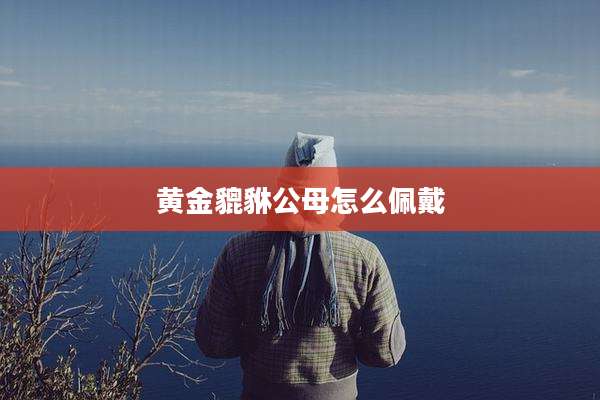黄金貔貅公母怎么佩戴