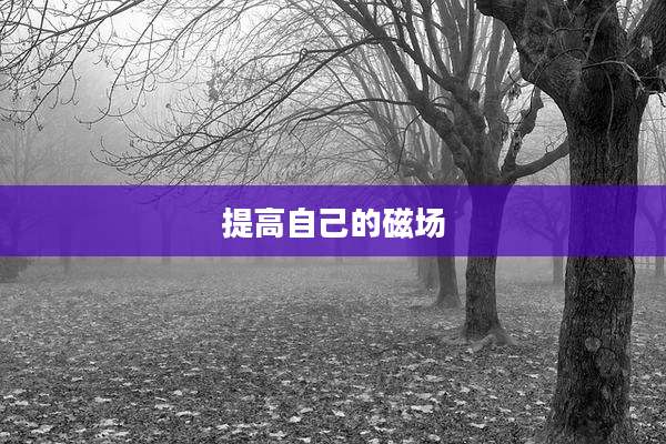 提高自己的磁场