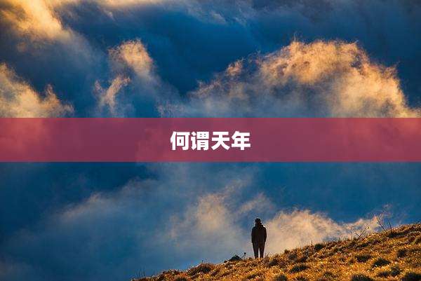 何谓天年