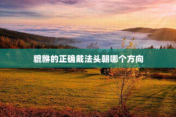 貔貅的正确戴法头朝哪个方向