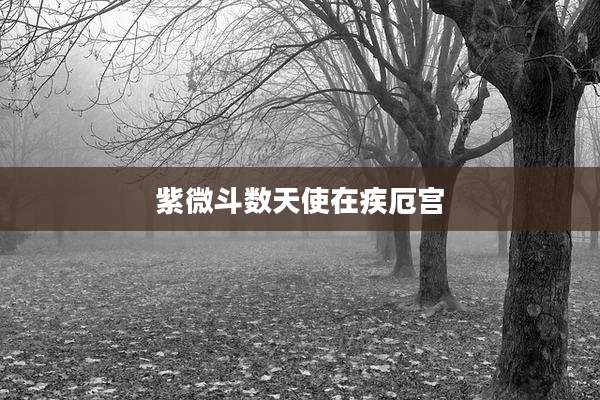 紫微斗数天使在疾厄宫