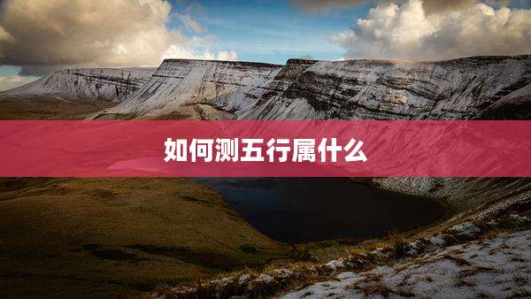 如何测五行属什么
