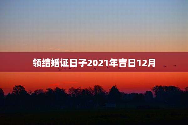 领结婚证日子2021年吉日12月