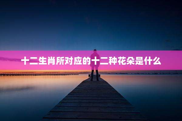 十二生肖所对应的十二种花朵是什么