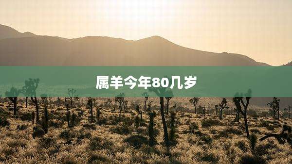 属羊今年80几岁