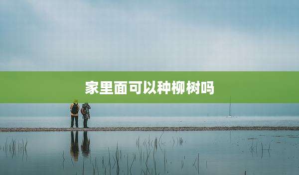 家里面可以种柳树吗