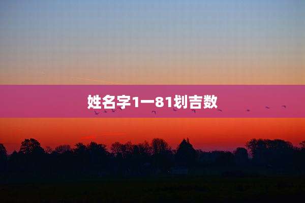 姓名字1一81划吉数