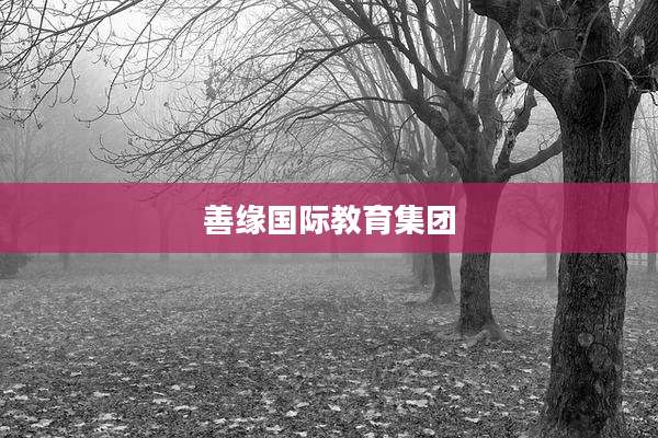 善缘国际教育集团