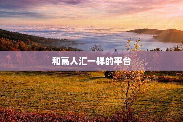 和高人汇一样的平台