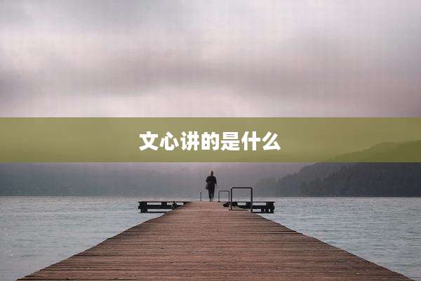 文心讲的是什么