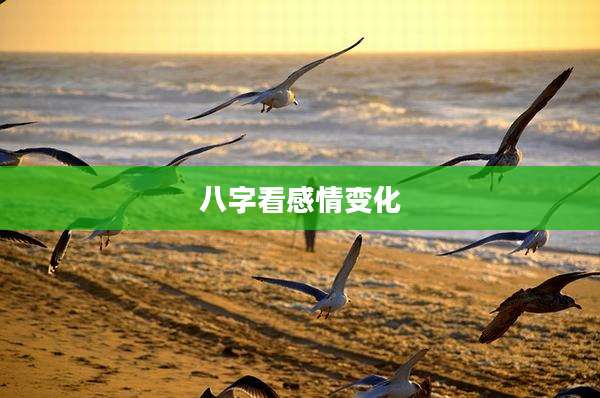 八字看感情变化