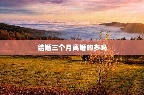 结婚三个月离婚的多吗