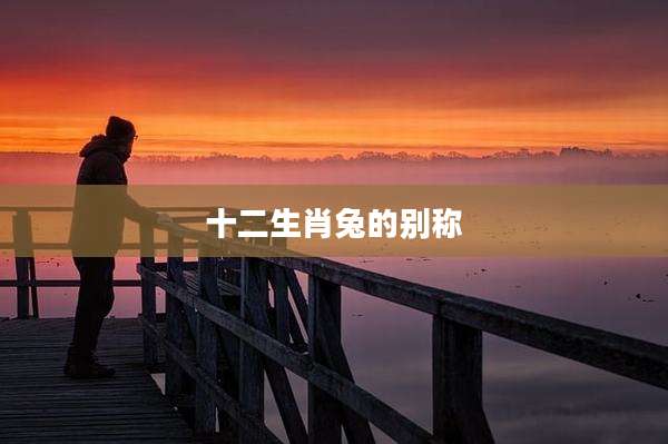 十二生肖兔的别称