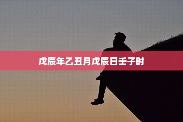 戊辰年乙丑月戊辰日壬子时