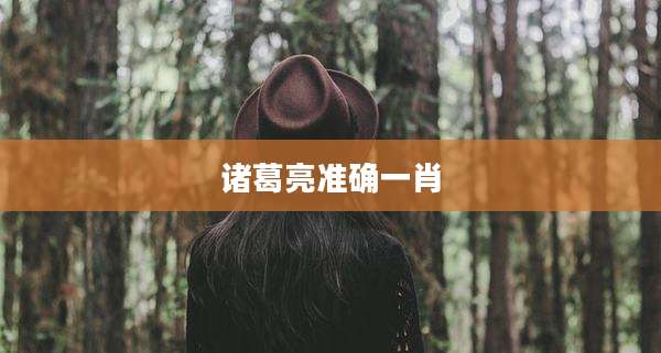 诸葛亮准确一肖