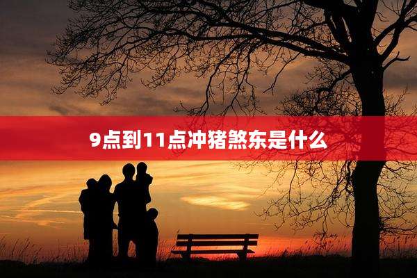9点到11点冲猪煞东是什么