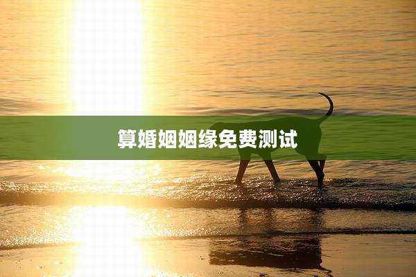 算婚姻姻缘免费测试