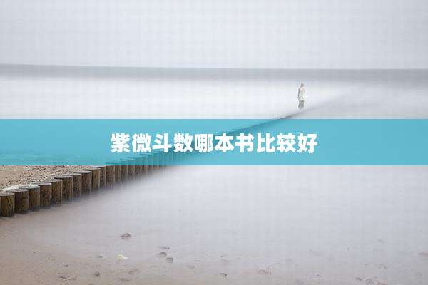 紫微斗数哪本书比较好