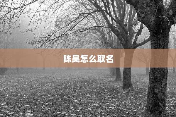 陈吴怎么取名