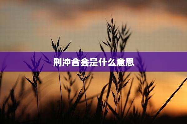 刑冲合会是什么意思