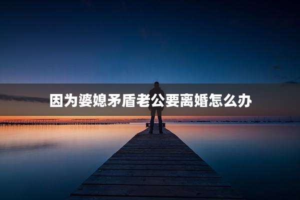 因为婆媳矛盾老公要离婚怎么办