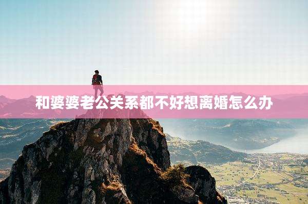 和婆婆老公关系都不好想离婚怎么办