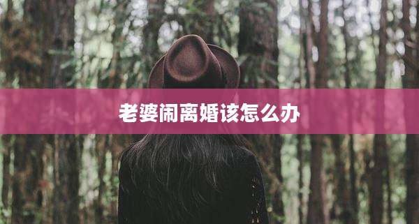 老婆闹离婚该怎么办