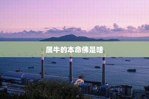 属牛的本命佛是啥