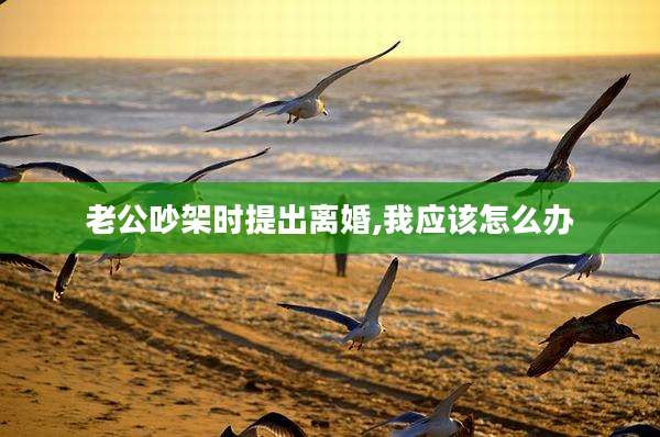 老公吵架时提出离婚,我应该怎么办