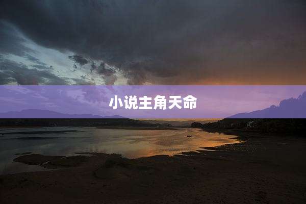 小说主角天命