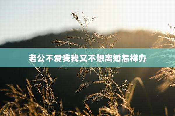 老公不爱我我又不想离婚怎样办
