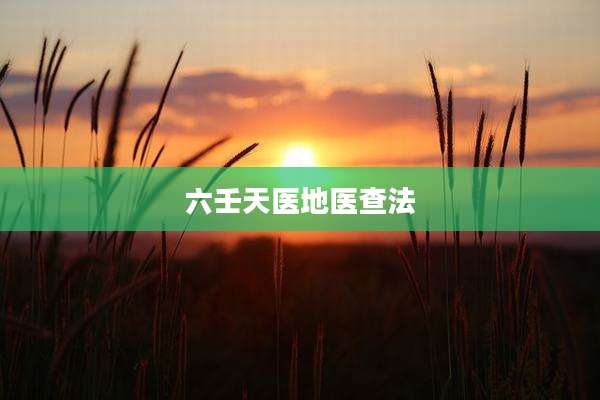 六壬天医地医查法