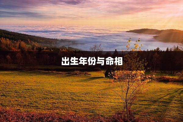 出生年份与命相