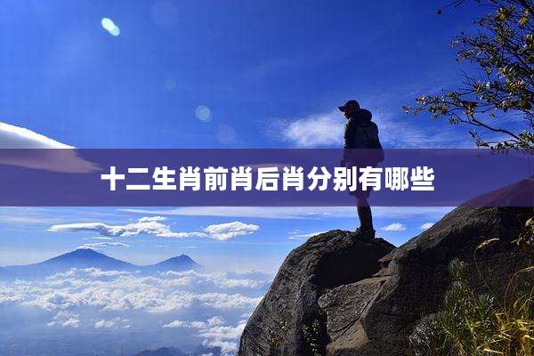 十二生肖前肖后肖分别有哪些