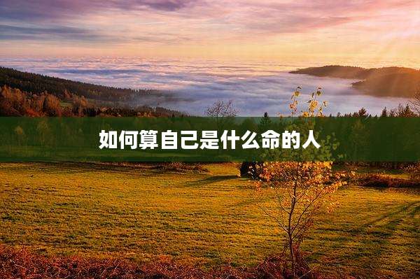如何算自己是什么命的人