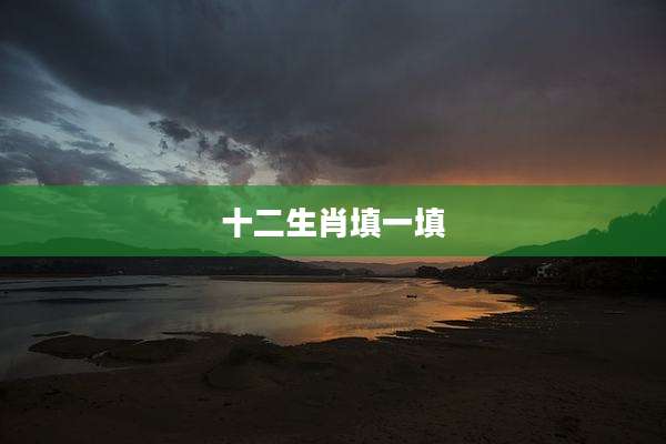 十二生肖填一填