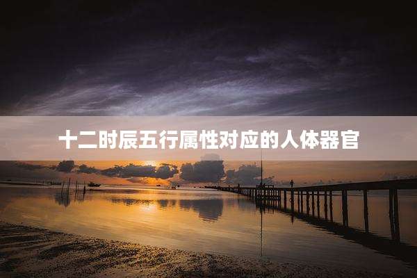 十二时辰五行属性对应的人体器官
