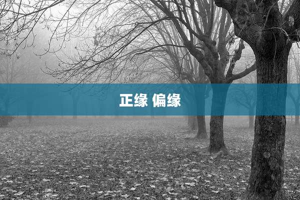正缘 偏缘