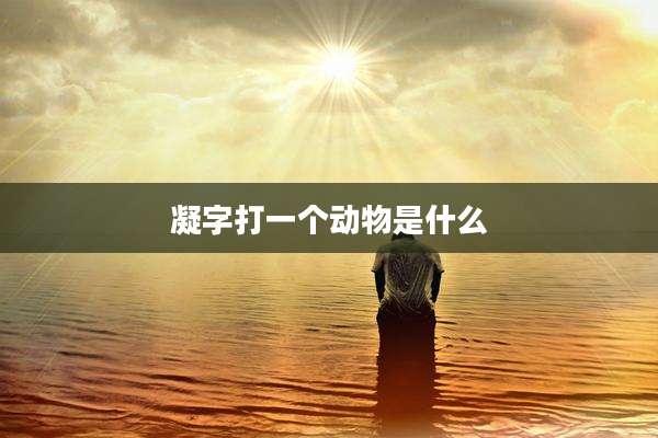 凝字打一个动物是什么
