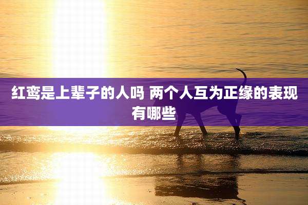 红鸾是上辈子的人吗 两个人互为正缘的表现有哪些