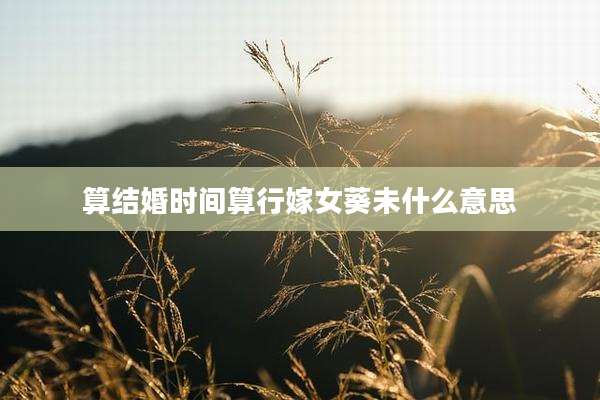 算结婚时间算行嫁女葵未什么意思