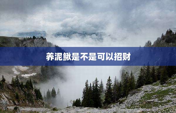 养泥鳅是不是可以招财