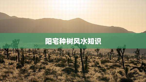 阳宅种树风水知识