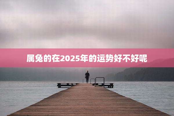 属兔的在2025年的运势好不好呢