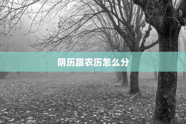 阴历跟农历怎么分