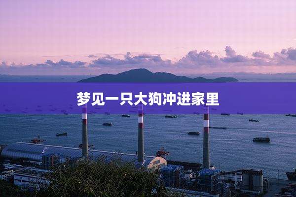 梦见一只大狗冲进家里