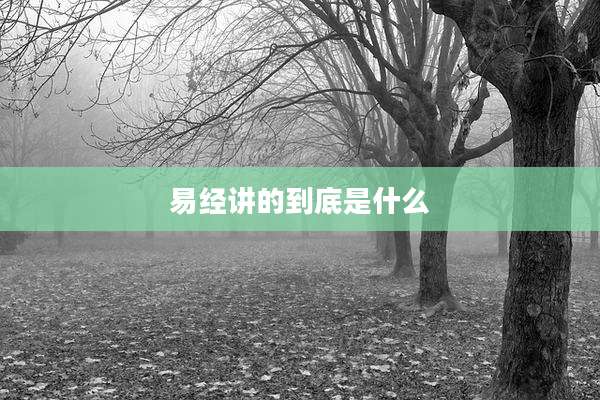 易经讲的到底是什么