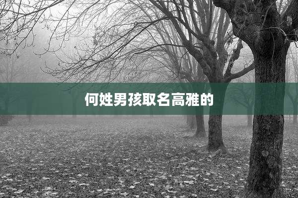 何姓男孩取名高雅的