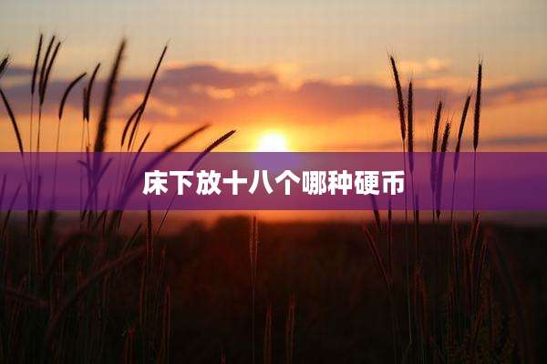 床下放十八个哪种硬币